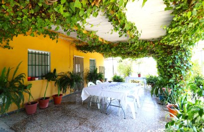 Country Property - Resale - Albatera -
                    Albatera