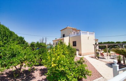 Country Property - Resale - Alicante -
                    Alicante
