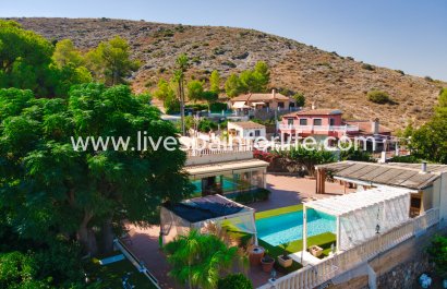 Country Property - Resale - Alicante -
                    Alicante