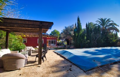 Country Property - Resale - Callosa De Segura - Callosa de Segura