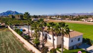 Country Property - Resale - Catral
- CAT PLC