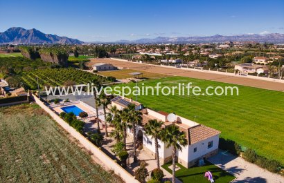 Country Property - Resale - Catral -
                    Catral