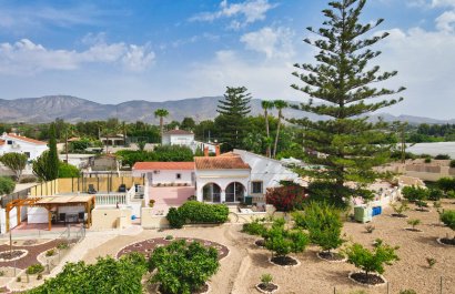 Country Property - Resale - Crevillent -
                    Crevillent