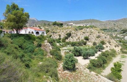 Country Property - Resale - Crevillent - Crevillent