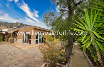 Country Property - Resale - Crevillent - Crevillent