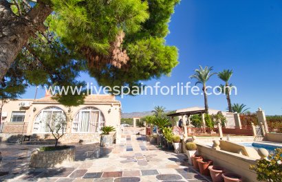 Country Property - Resale - Crevillent - Crevillent