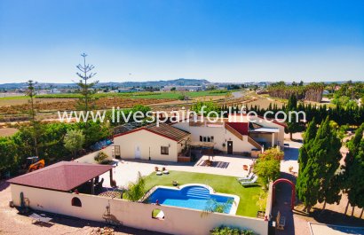 Country Property - Resale - Daya Vieja - Daya Vieja