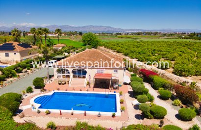 Country Property - Resale - Dolores -
                    Dolores