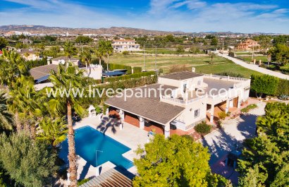 Country Property - Resale - Elche - Elche