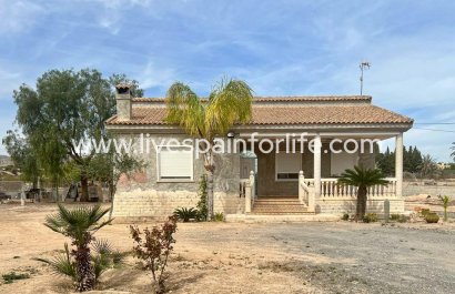 Country Property - Resale - Elche -
                    Elche