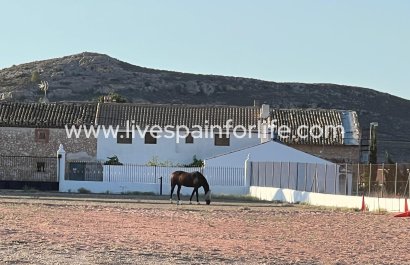 Country Property - Resale - Murcia -
                    Murcia