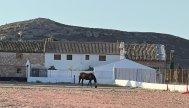 Country Property - Resale - Murcia
- TDR INV-D