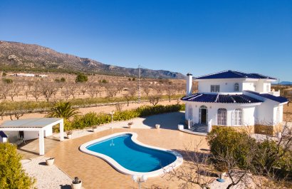 Country Property - Resale - Pinoso -
                    Pinoso