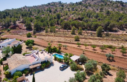 Country Property - Resale - Pinoso -
                    Pinoso