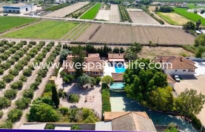 Country Property - Resale - Rojales -
                    Rojales