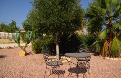 Country Property - Short Term Rental - Albatera -
                    Albatera