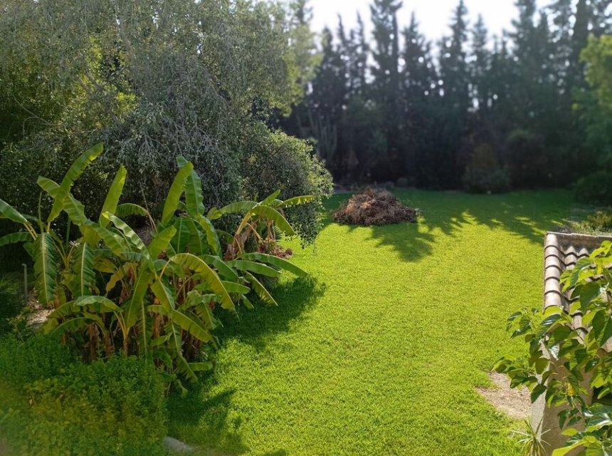  - Detached house -
Daya Nueva - 