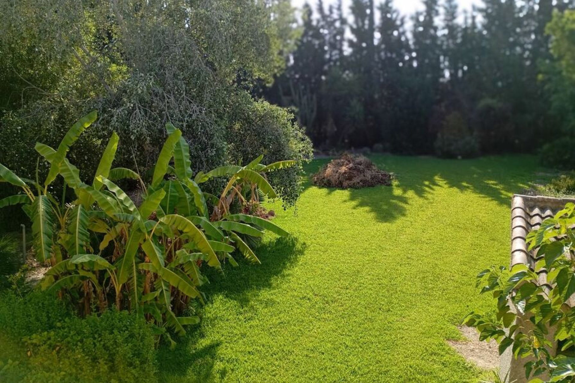  - Detached house -
Daya Nueva - 