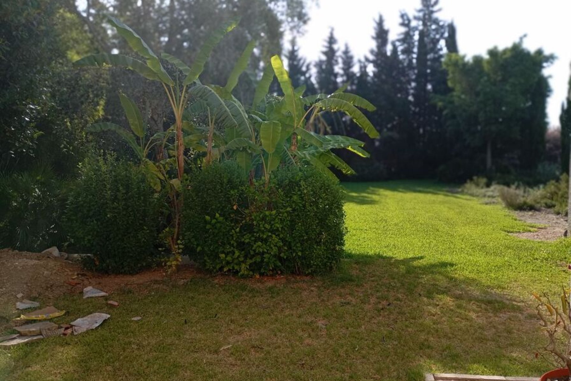  - Detached house -
Daya Nueva - 