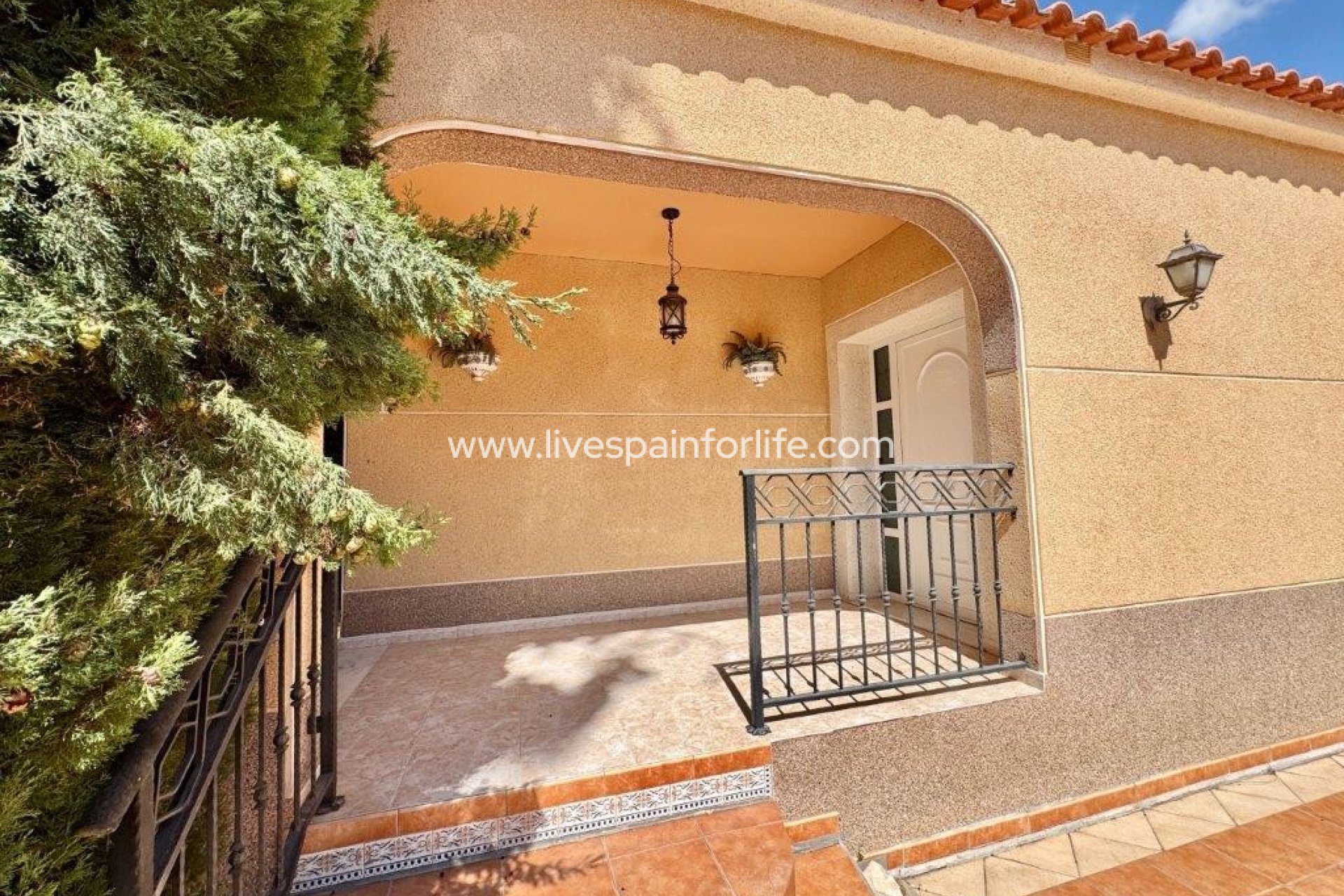  -  -
Dolores - 