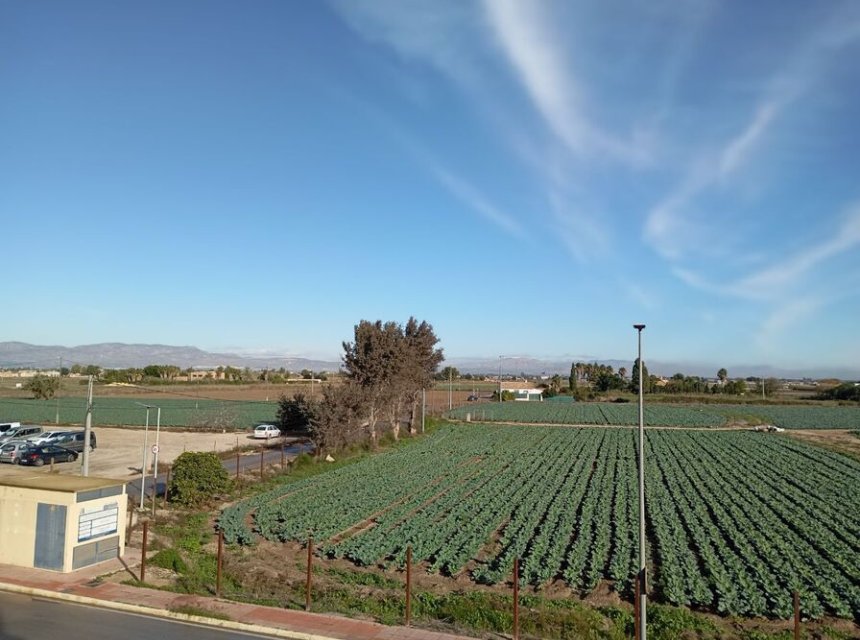  - Duplex Apartment -
