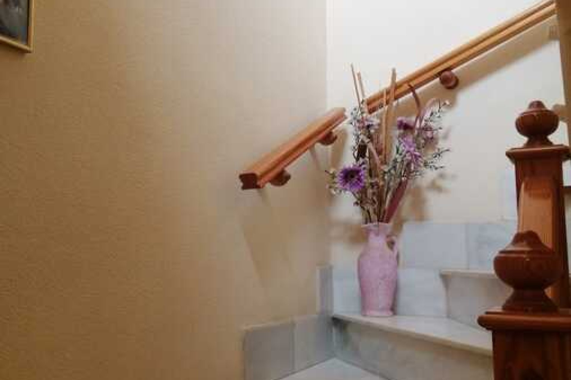  - Duplex -
Daya Vieja