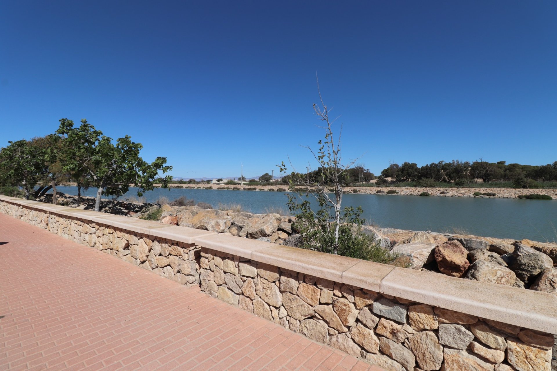  - Duplex -
Guardamar del Segura - Guardamar