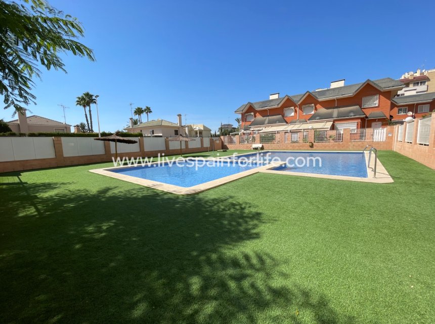  -  -
Elche - Center