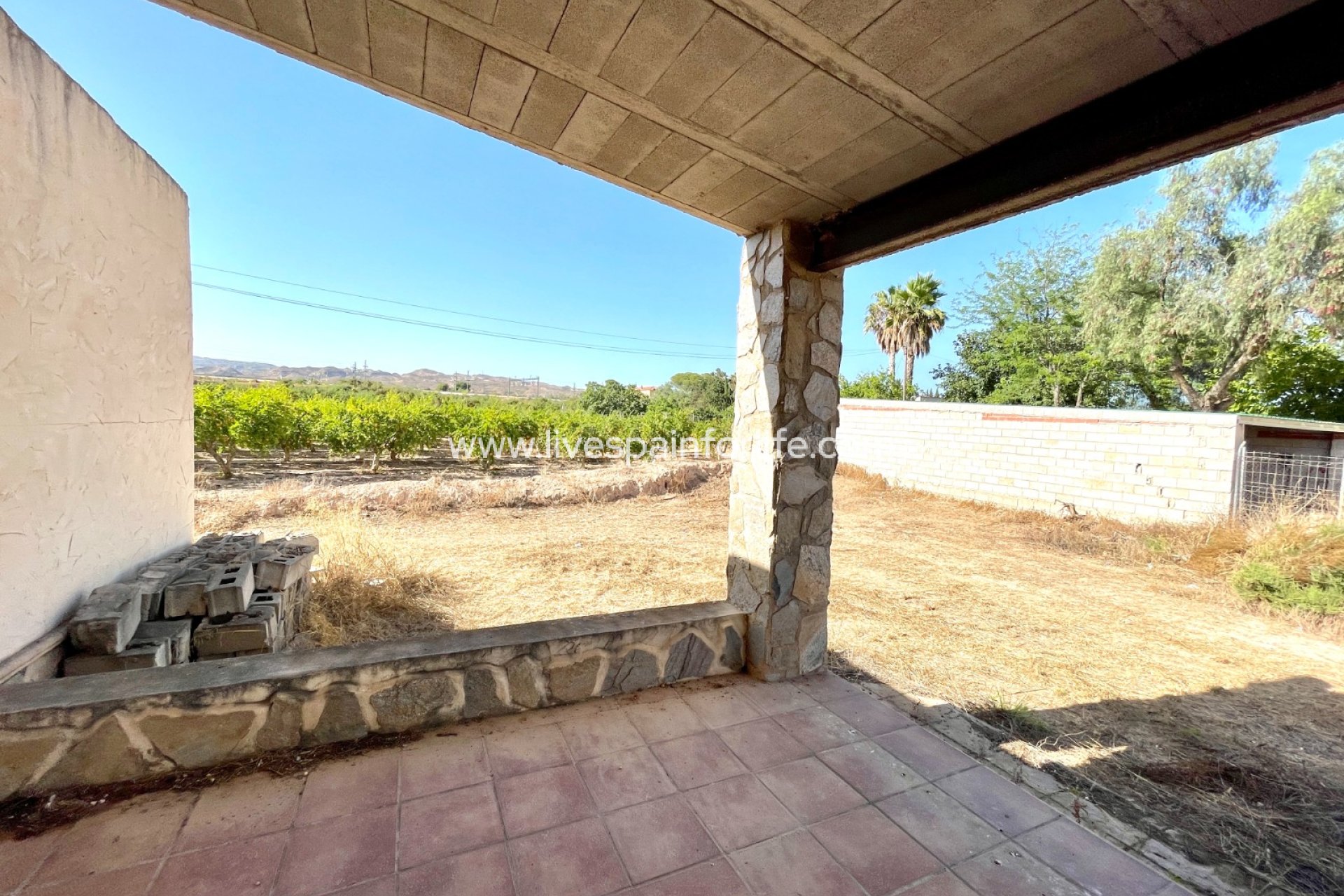 -  -
Elche - Matola