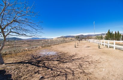 Equestrian - Resale - Monovar - Monóver