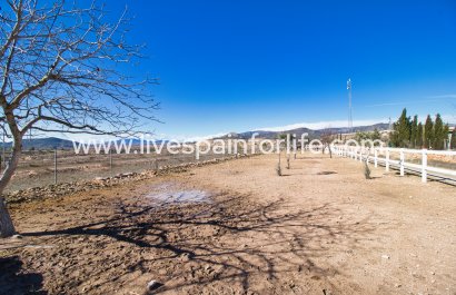 Equestrian - Resale - Monovar - Monóver