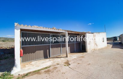 Equestrian - Reventa - Alicante -
                    Alicante