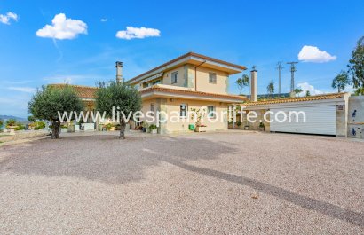 Equestrian - Reventa - Torremendo - Torremendo