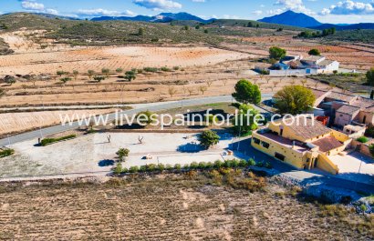 Handelspand - Herverkoop - Alicante -
                    Alicante