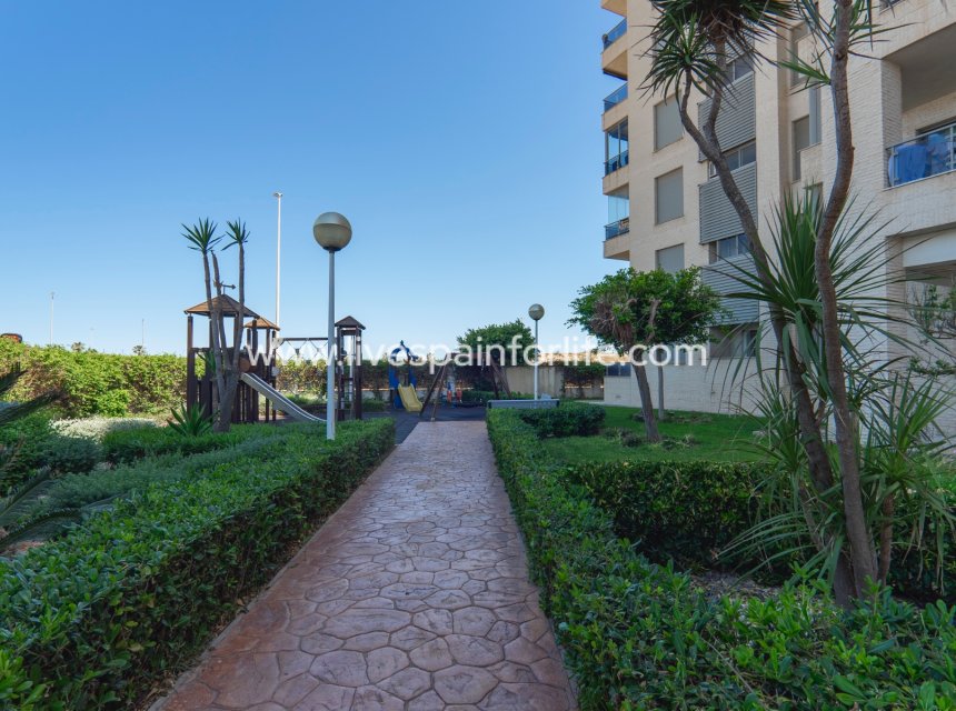 Herverkoop - Apartments -
Guardamar del Segura - Puerto Deportivo
