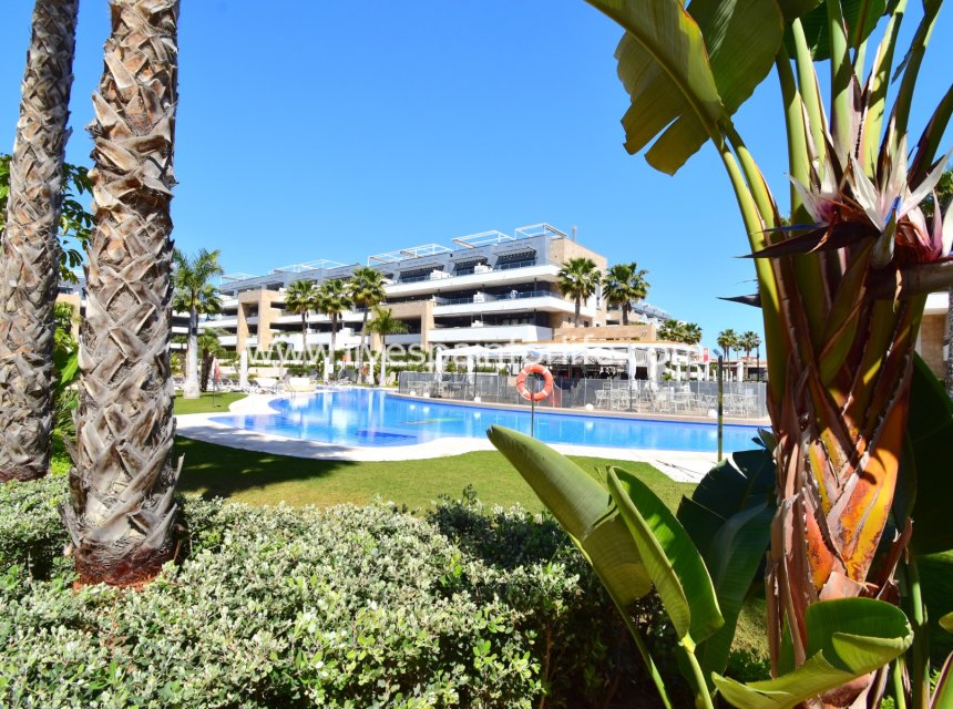 Herverkoop - Apartments -
Orihuela Costa - Playa Flamenca
