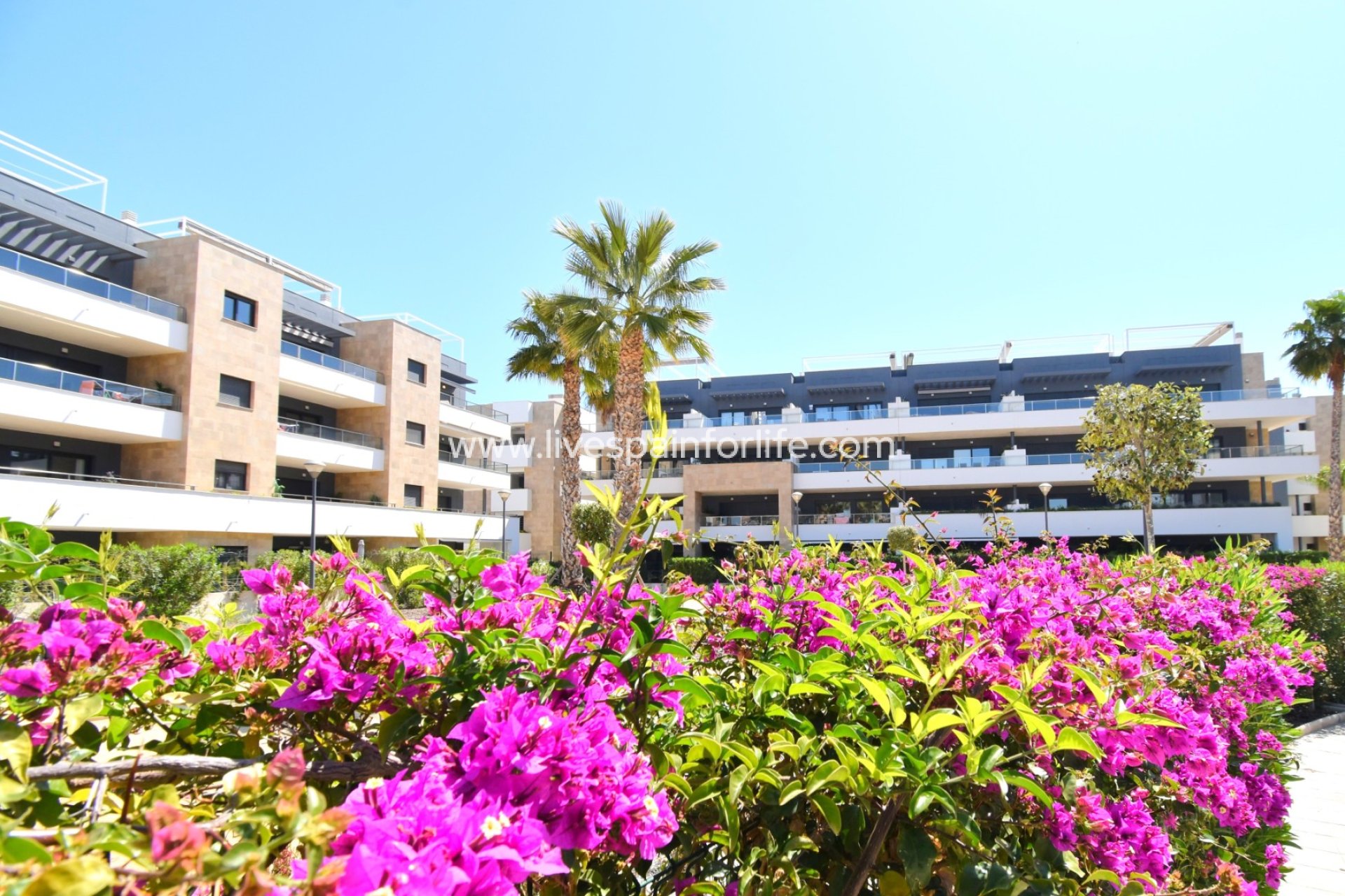 Herverkoop - Apartments -
Orihuela Costa - Playa Flamenca