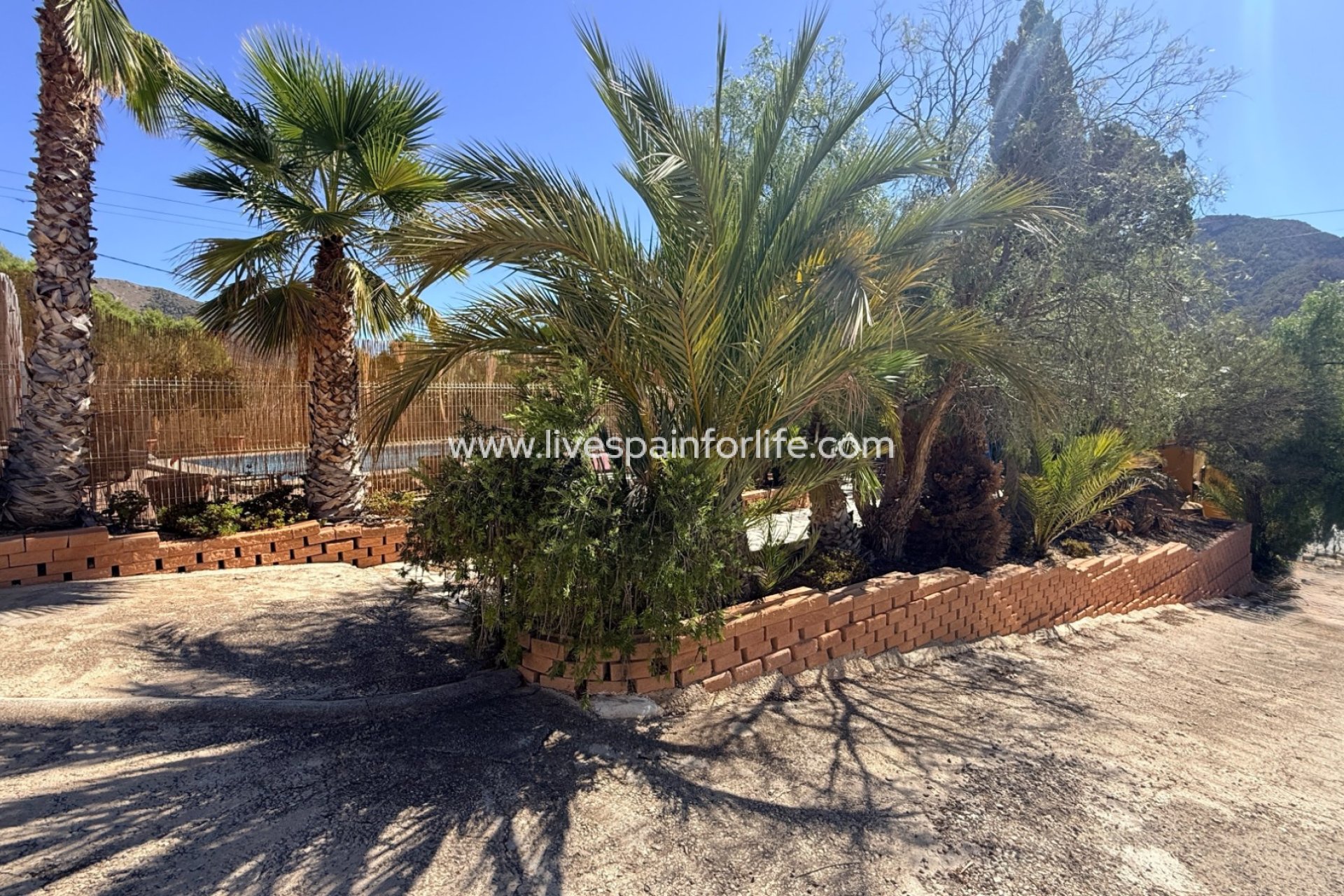 Herverkoop - Cave home -
Alguena