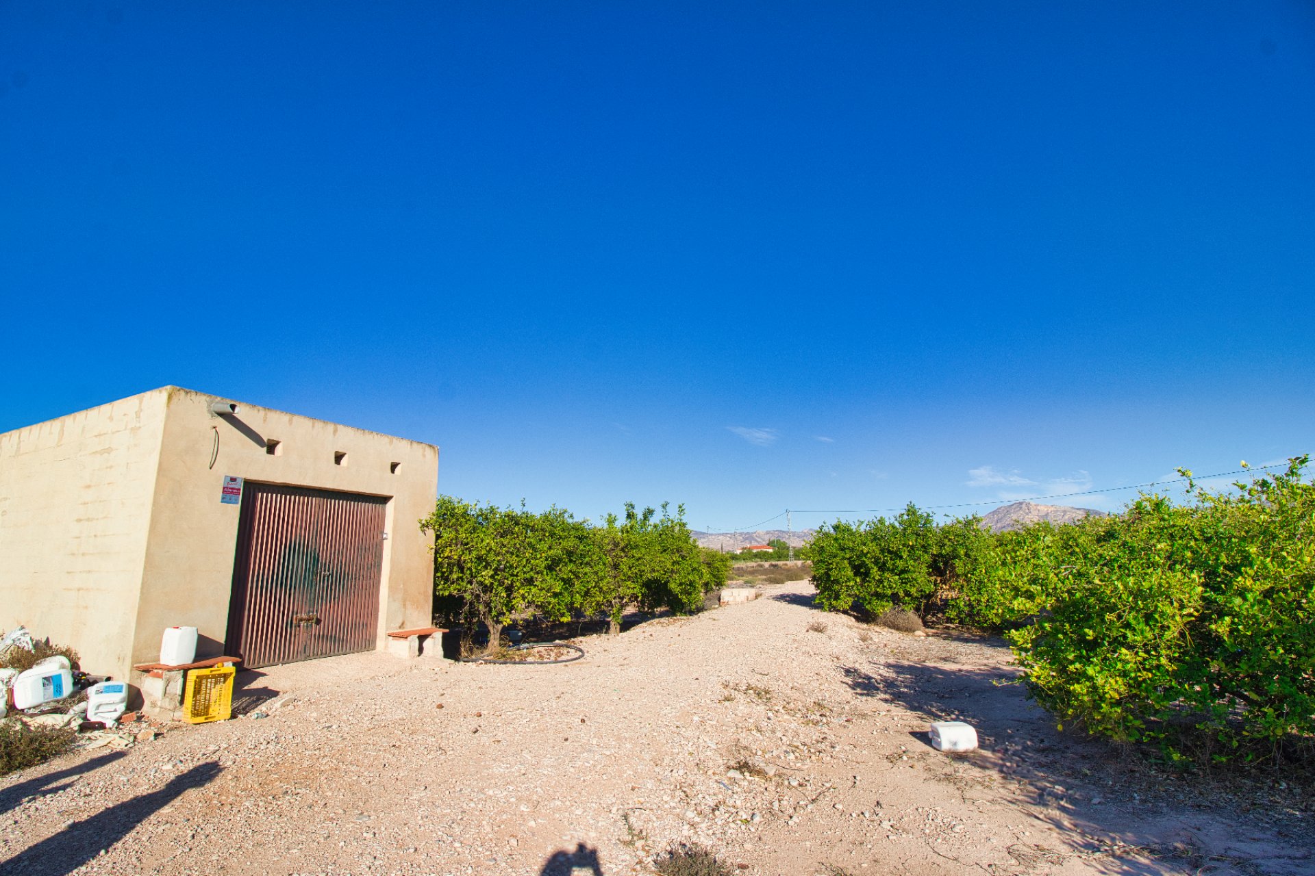 Herverkoop - Een stuk grond -
Albatera