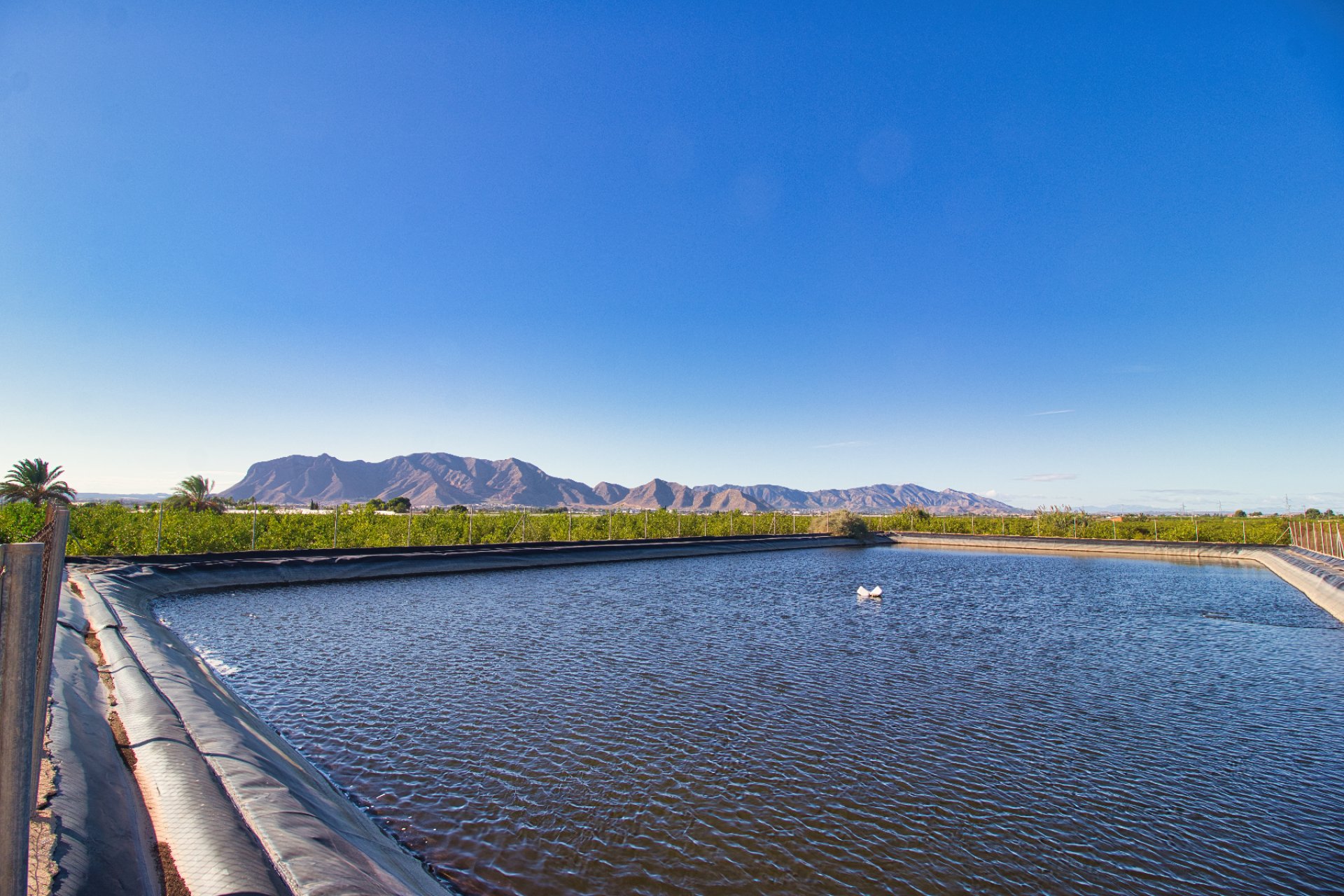 Herverkoop - Een stuk grond -
Albatera