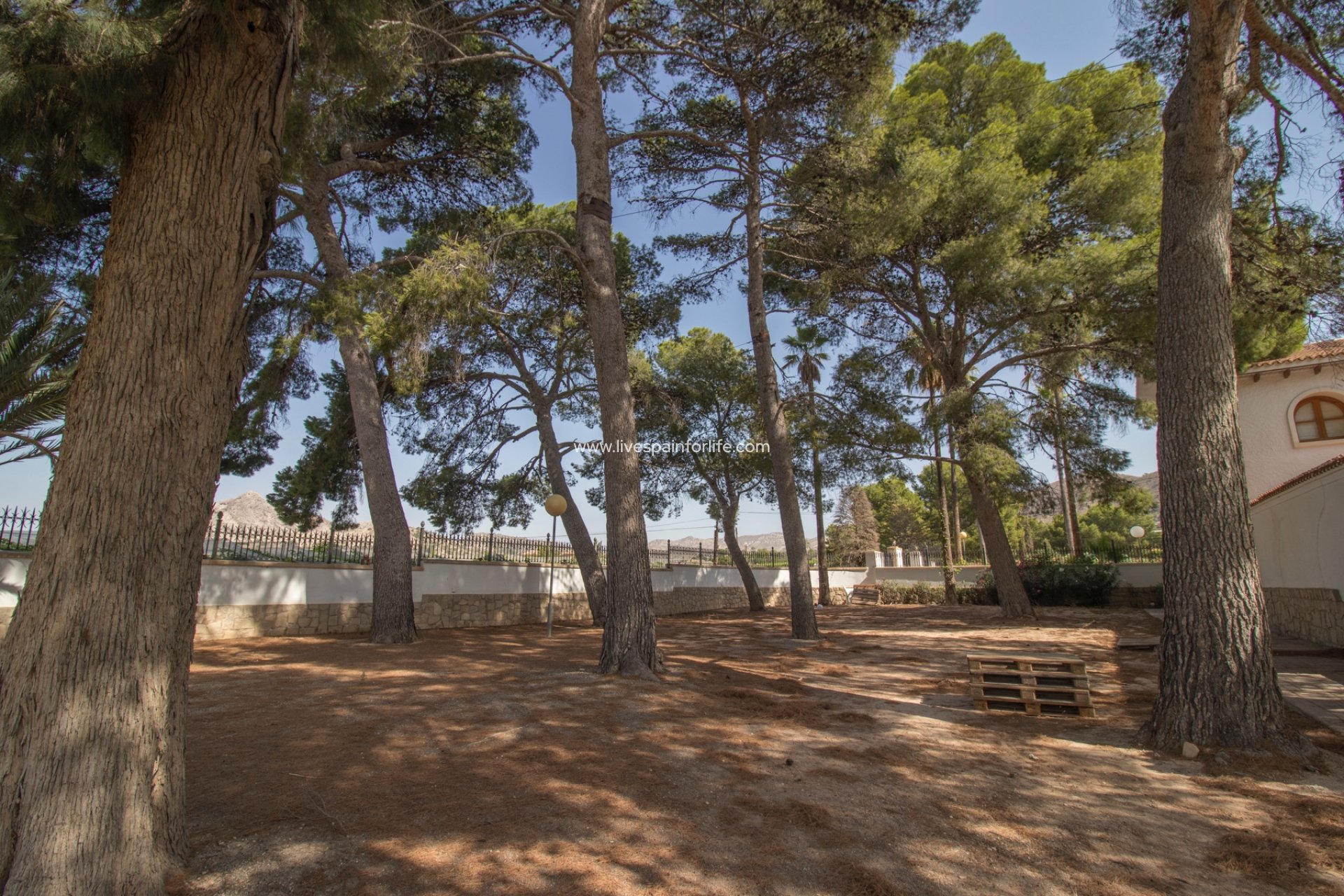 Herverkoop - Equestrian -
Novelda