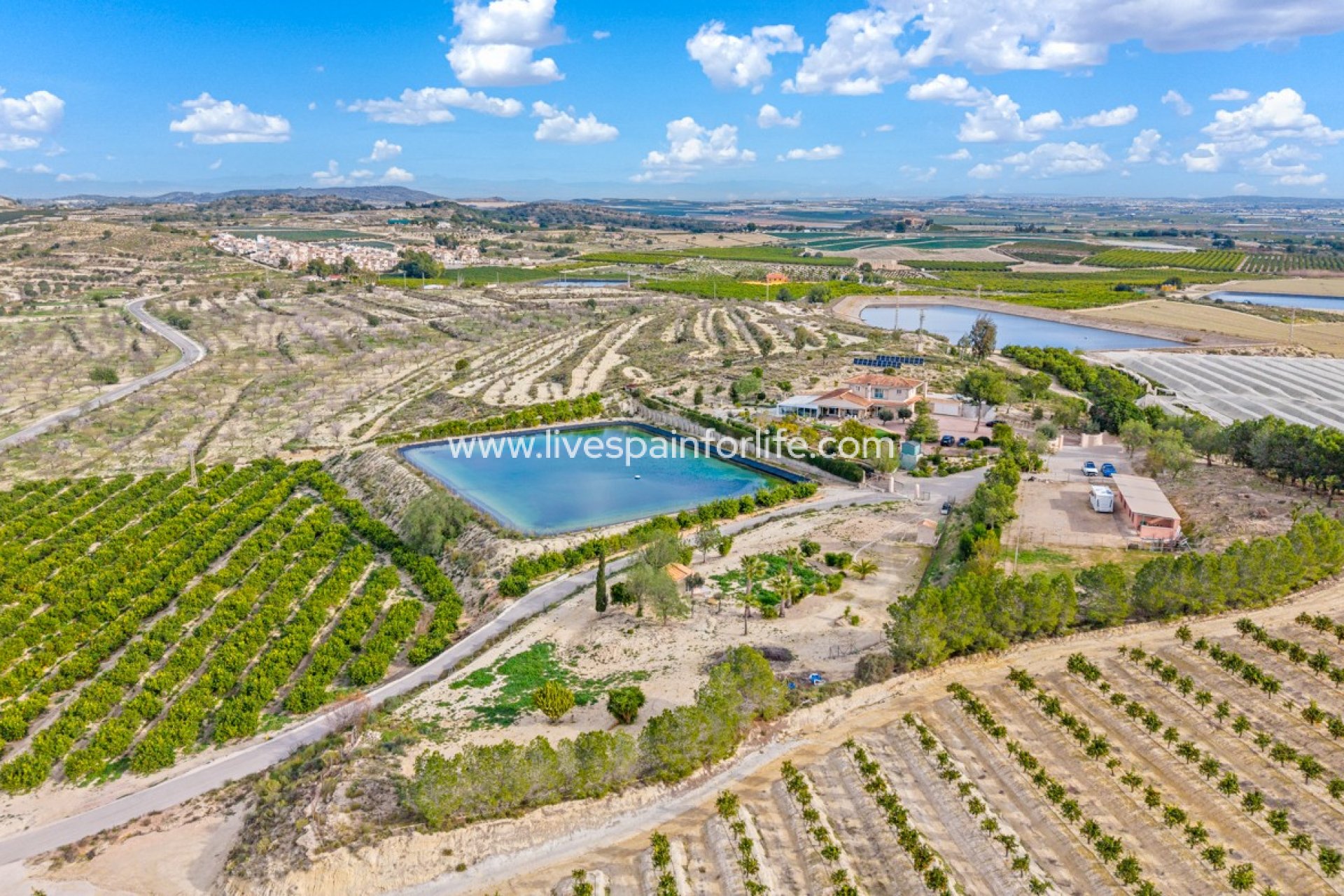 Herverkoop - Equestrian -
Torremendo