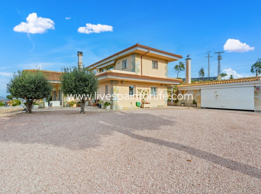 Herverkoop - Equestrian -
Torremendo