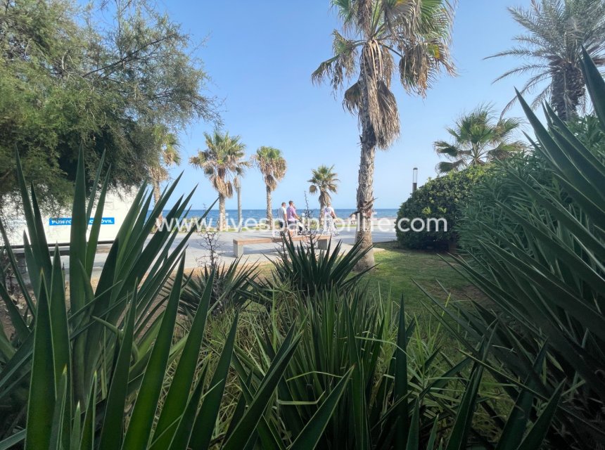 Herverkoop - Handelspand -
Torrevieia - Comunidad Valenciana