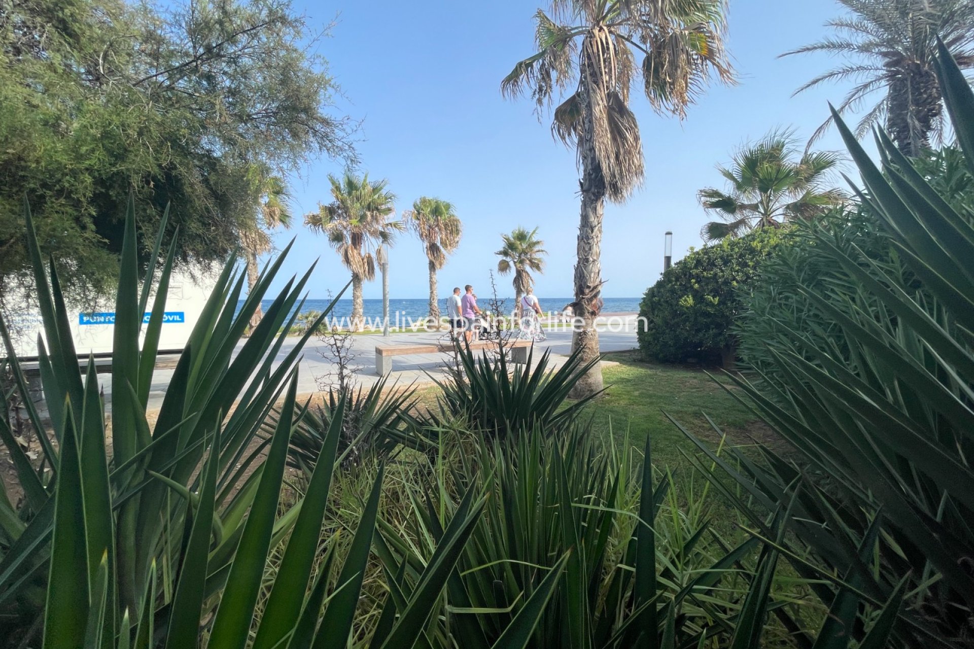 Herverkoop - Handelspand -
Torrevieia - Comunidad Valenciana