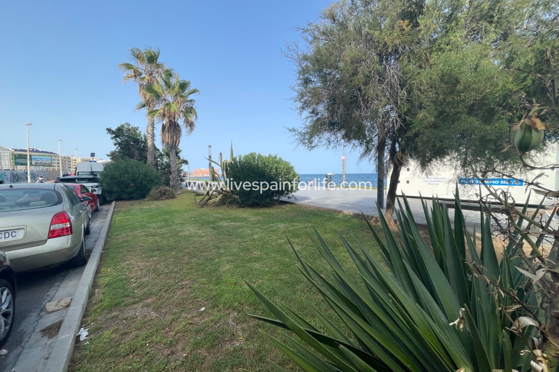 Herverkoop - Handelspand -
Torrevieja - Comunidad Valenciana
