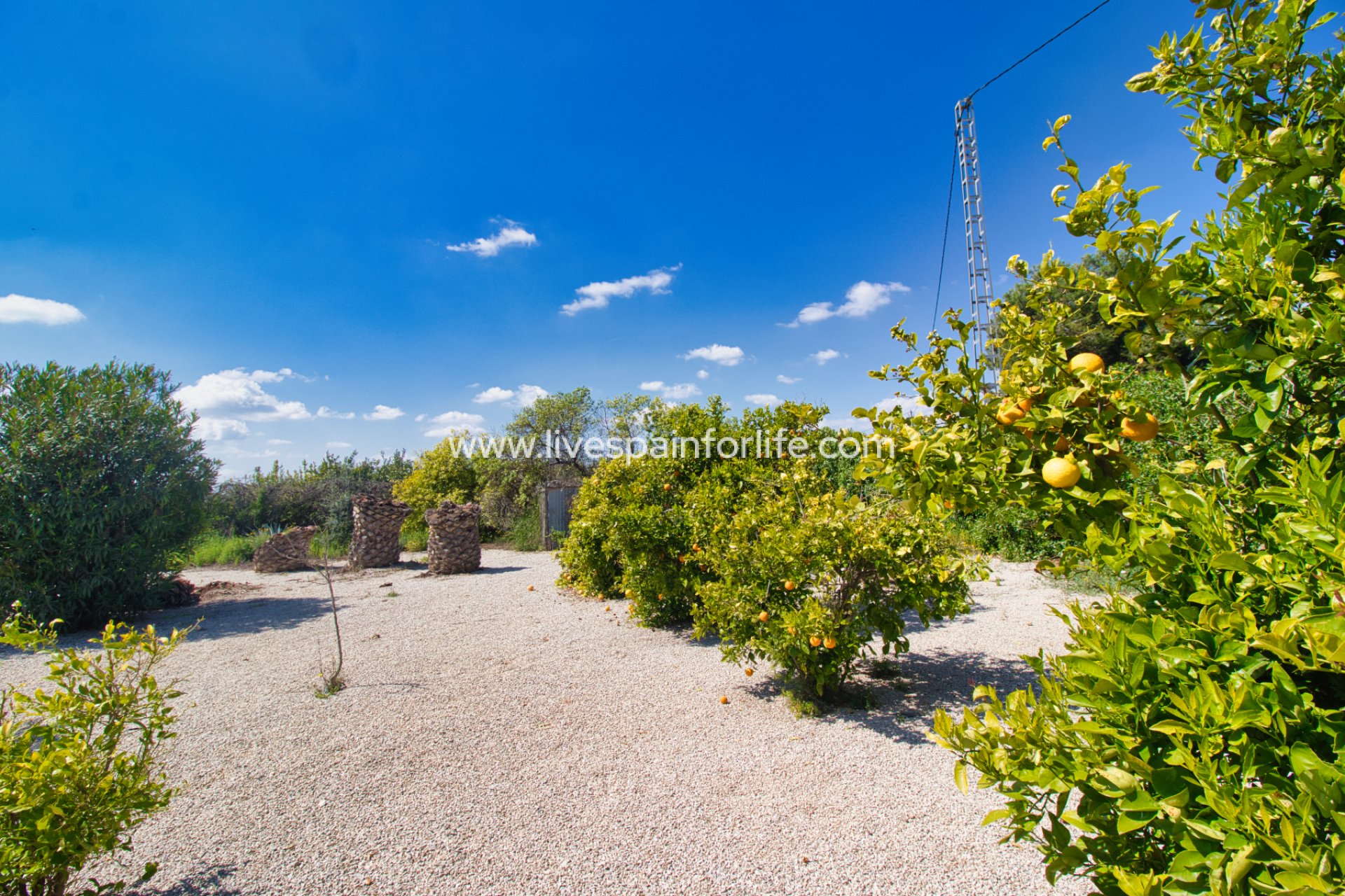 Herverkoop - Plattelandswoning -
Alicante