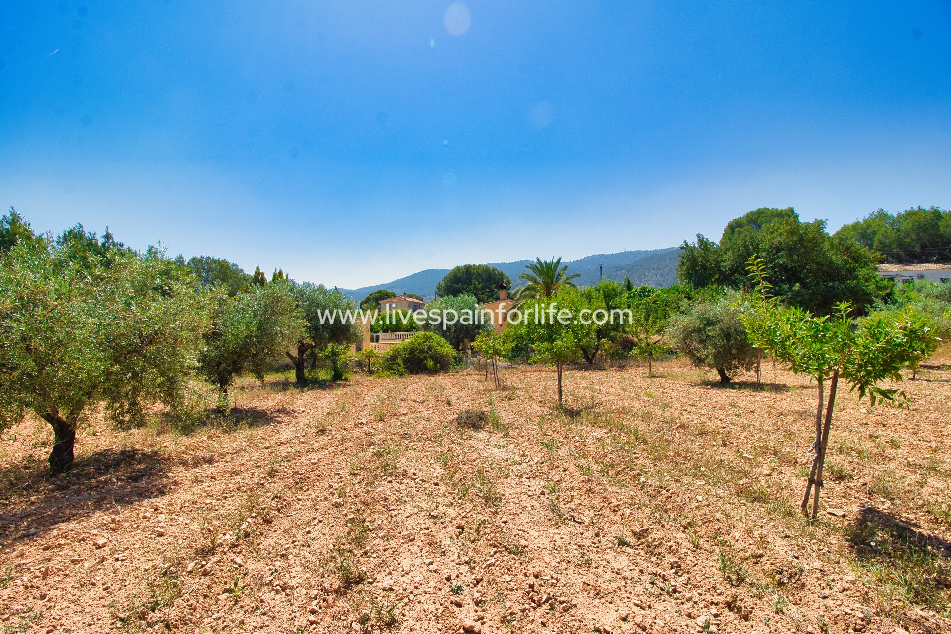 Herverkoop - Plattelandswoning -
Alicante