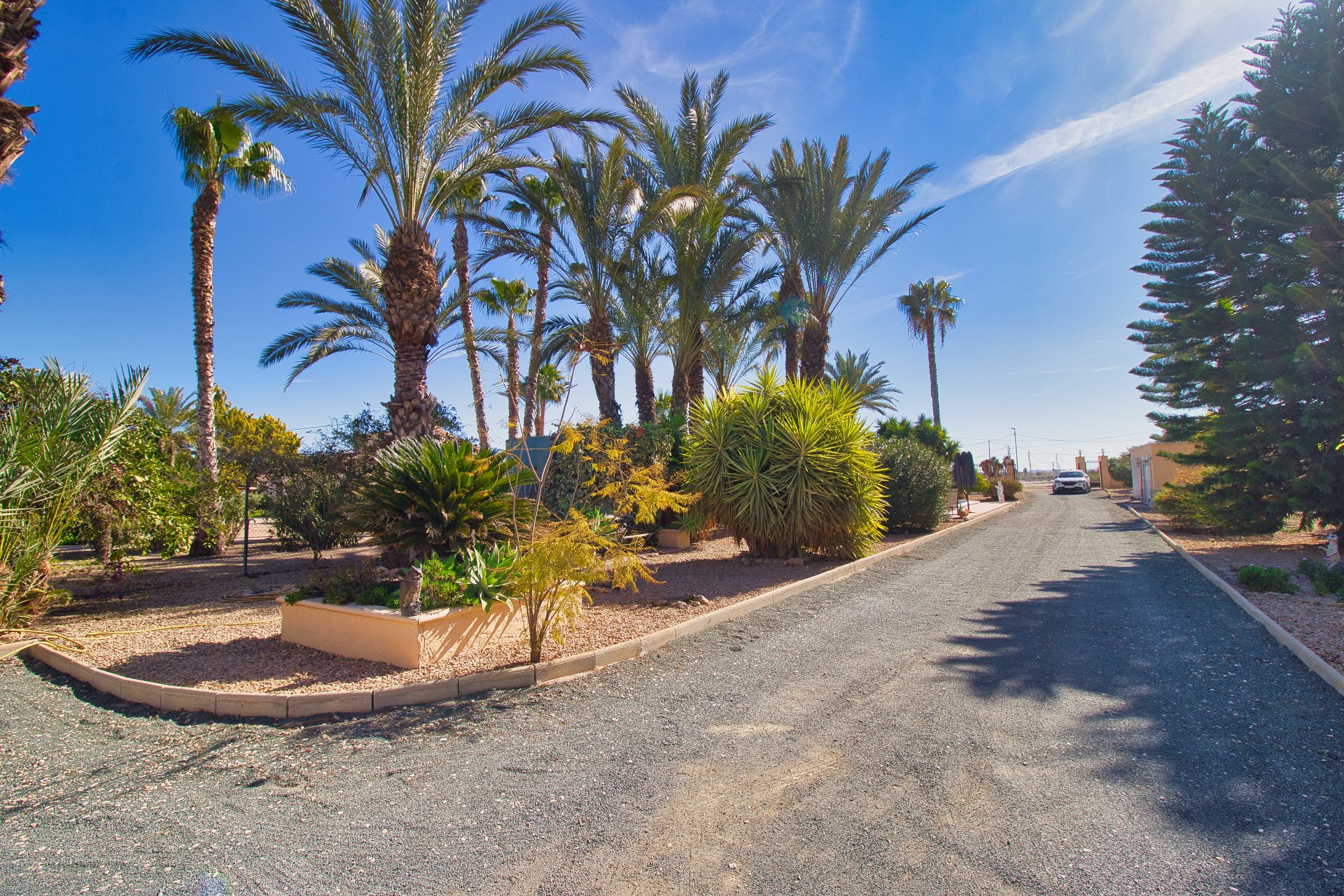 Herverkoop - Plattelandswoning -
Callosa De Segura - Callosa de Segura