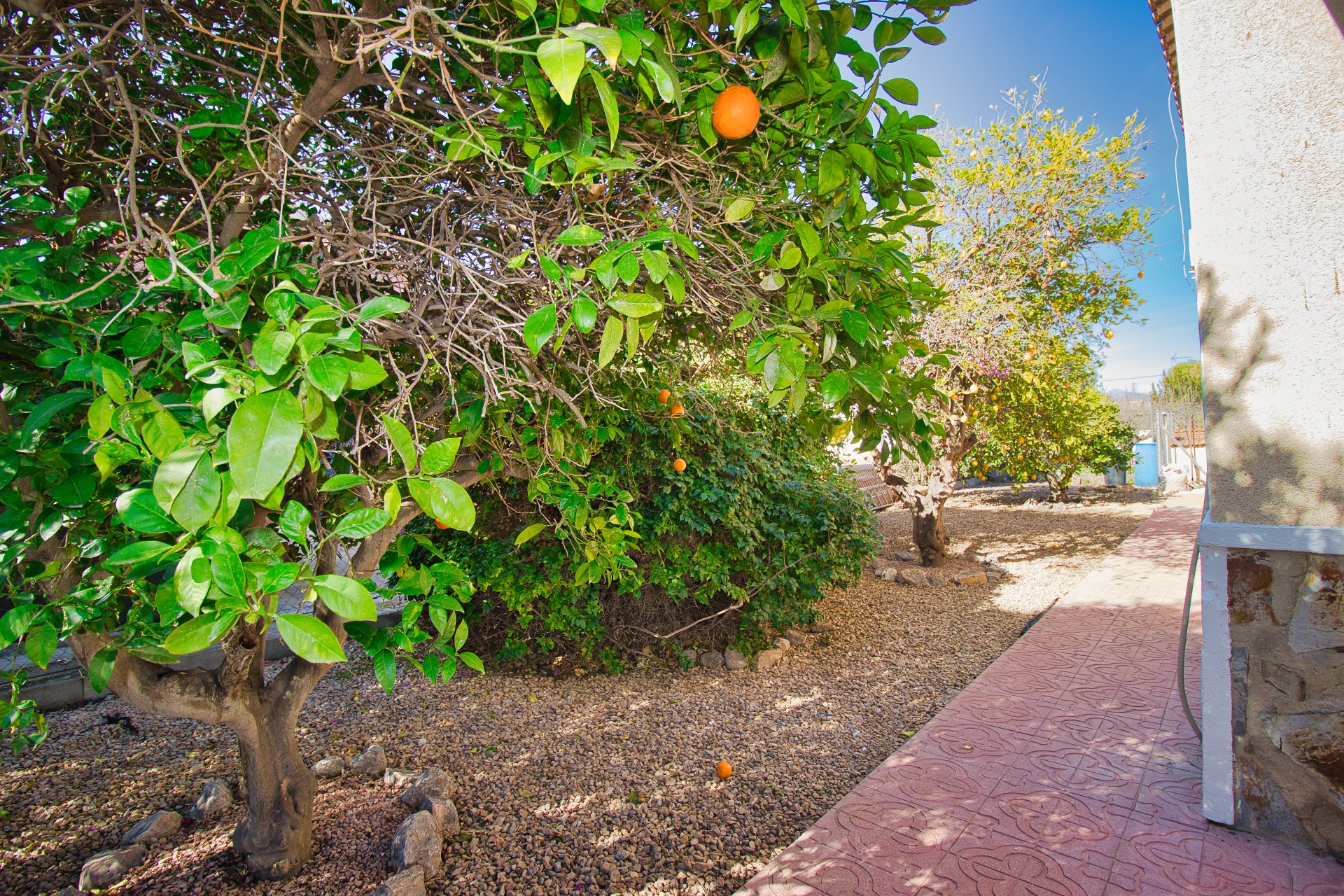 Herverkoop - Plattelandswoning -
Callosa De Segura - Callosa de Segura